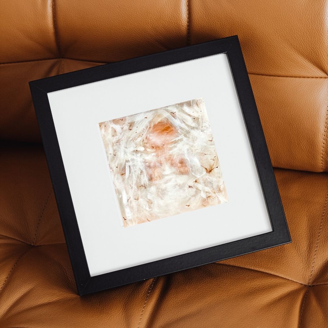 "Revealed Glory" - Fine Art Print